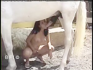 Young Brazilian and stallion: an exciting bestiality video