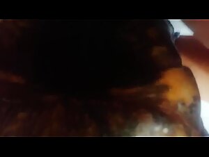 Bestiality Tubes: Animal Zoophilia Porn