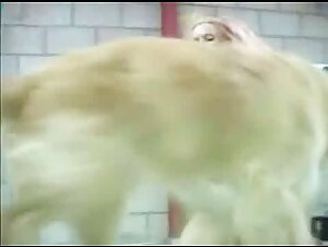 Sublime Blonde and Dog - Extreme Bestiality Sex