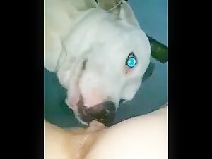 Bestialidad: una mujer y un perro en un impactante video