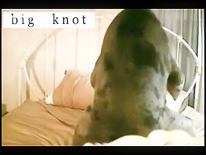 Vidéo de sexe bestialité: Hard pounding avec un chien