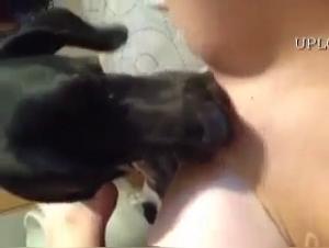 Bestialische Freuden: Blondinen und Hunde in Hardcore-Sexszenen