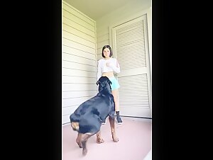 Dog training: a beastly experience