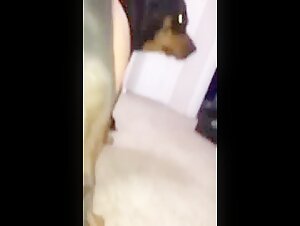 Adolescente de cono peludo y su perro