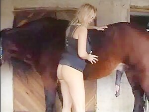 Bestiality videos with breathtaking horses