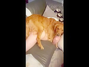 Bestiality sex video: a woman and her special friend