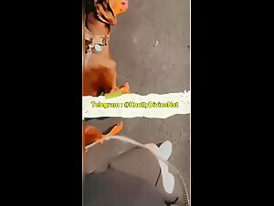 Zoophilia Hardcore: Zorras amateurs gordas dejandose pisotear por perros