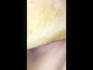 Sex Cam Video with a Dog