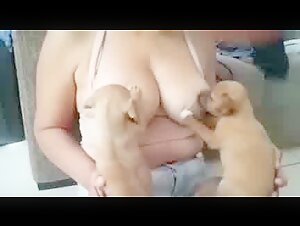 Nursing with a dog: a video of extreme zoophilia