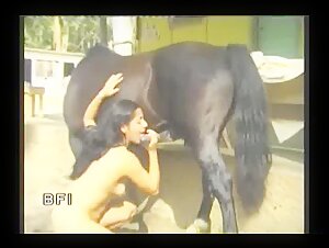 Femmes et chevaux : une rencontre bestiale