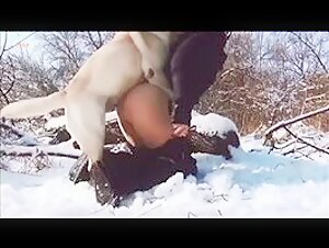 Outdoor bestiality: shocking and exciting videos