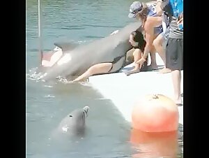 Video de sexo con un delfin: una experiencia bestial y excitante