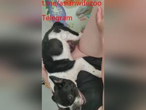 Congratulazioni canine cinesi, erotismo animale