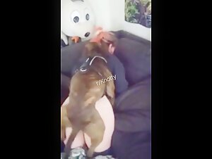 Bestialitat-Sexvideo mit einem Hund