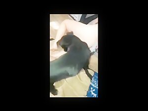 Una amante despiadada para su perro