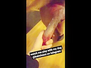 Bestiality sex videos: Discover intense moments with dogs