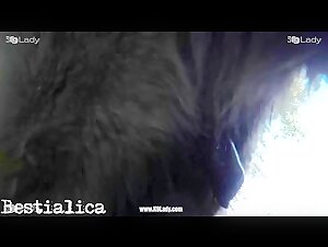 Video di sesso con animali: cani e cinghiali