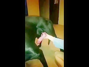 Woman and dog in bestiality sex video