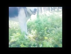 Sex video with a dog in the forest