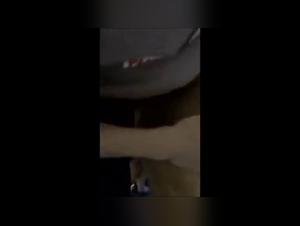 Wild Canine Defilement: The Bitch Lets Herself Get Fucked Relentlessly