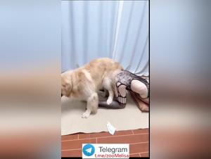 Exalted Fantasies: Chinese Animal Fuck del 2