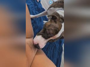 Licks Animales: Extase Féminine incontrôlée