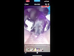 Chien et femme noire dans une séance de zoophilie intense