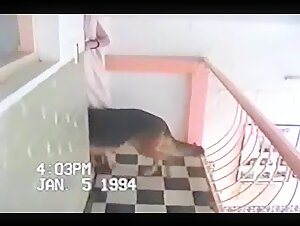 Buffy e l'avventura del suo cane - Video di sesso bestiale