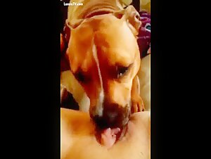 Bestialitatssex mit einem Hund und einer Frau - ChezCathy - Extreme Sex Taboo 