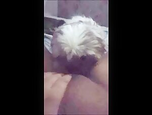 Videos de sexo de bestialidad y zoofilia con perros