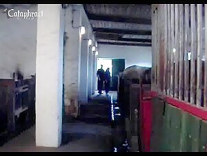 Video di bestialita - Ragazza adolescente amatoriale e cavallo