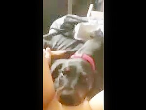 Sexvideos mit Hunden