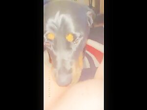 Dog Sex Video: An Intense Experience