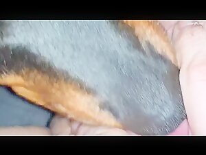 Video von Sex mit einem Hund