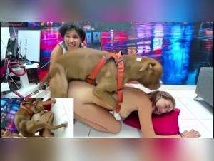 Hund fickt frau: Bestiality taboo, XXX animal sex, Dog fuck girl 