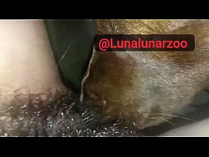 Zoofil Porn: Una experiencia sexual extrema con perro y humano