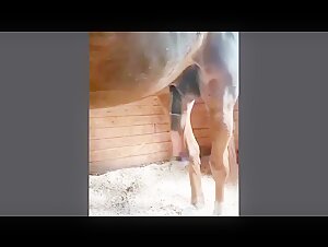 Cheval en Excitation : Une Rencontre Bestiale et Intense