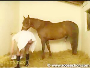 Blonde woman and horse: an exciting zoophilia video