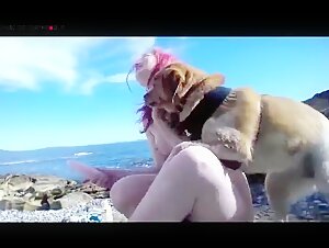 Video de zoofilia: Perro insistiendo en un encuentro intimo