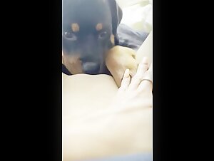 Video intimo con un perro