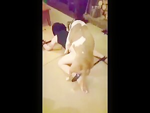 Bestiality sex video: submissive woman fucked by a dog