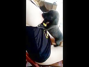 Mujer amamantando a un cachorro en impactante escena de zoofilia