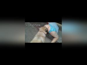 Dog Devours the Bitch: Brutal Video