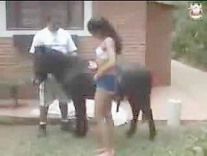 Latin woman having fun with a horse - Extreme bestiality video