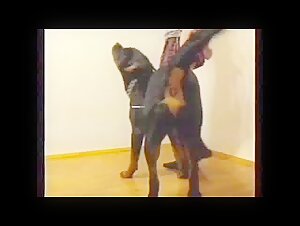 Videos de sexo de bestialidad con perros