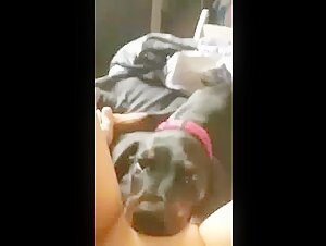 Bestiality Sex Video: Girl and Her Dog