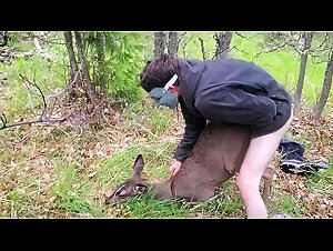 Extreme Zoophilia: Male animal sex in videos-&gt;   