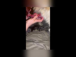 Zoey Brooks: geheime Hundeorgien