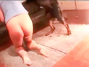 Mujer Adicta a los Perros - Video de Bestialidad Extrema