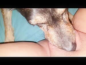 Una experiencia de sexo bestial con un perro